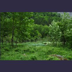 2007-05_11Obersee (014).JPG